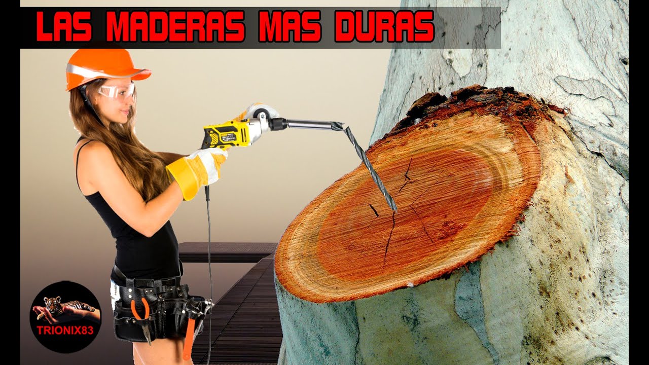 La madera más resistente del mundo
