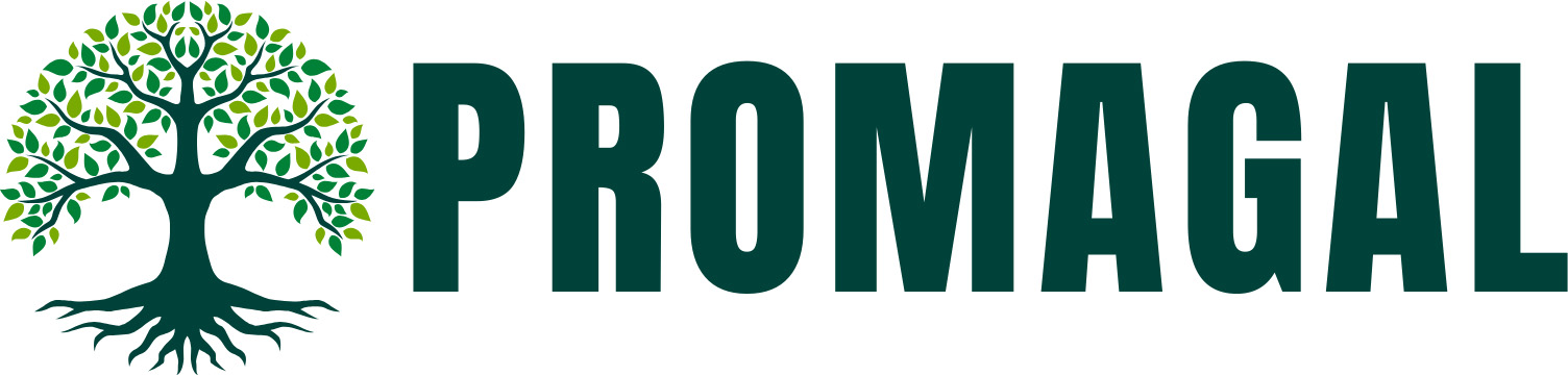 Diferencias Entre Resumen Y S ntesis Promagal es Blog Informativo Diferencias Entre Resumen Y S ntesis Promagal es Blog Informativo