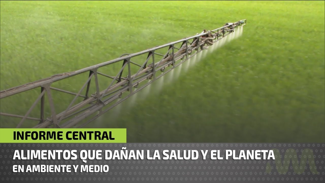 Alimentos nocivos para el medio ambiente
