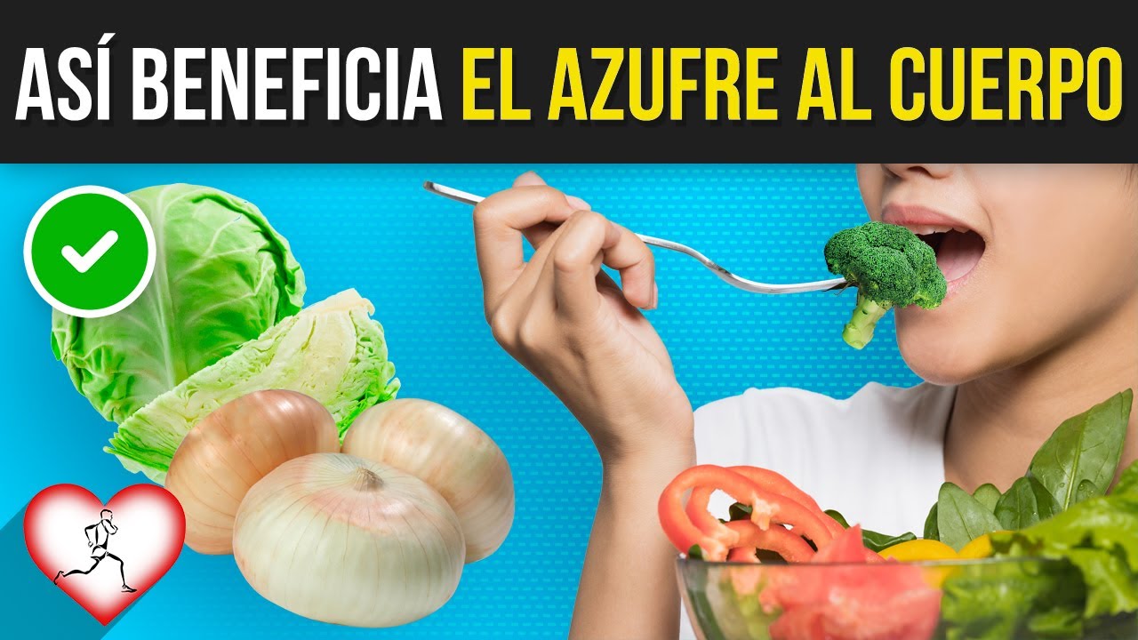 Alimentos ricos en azufre