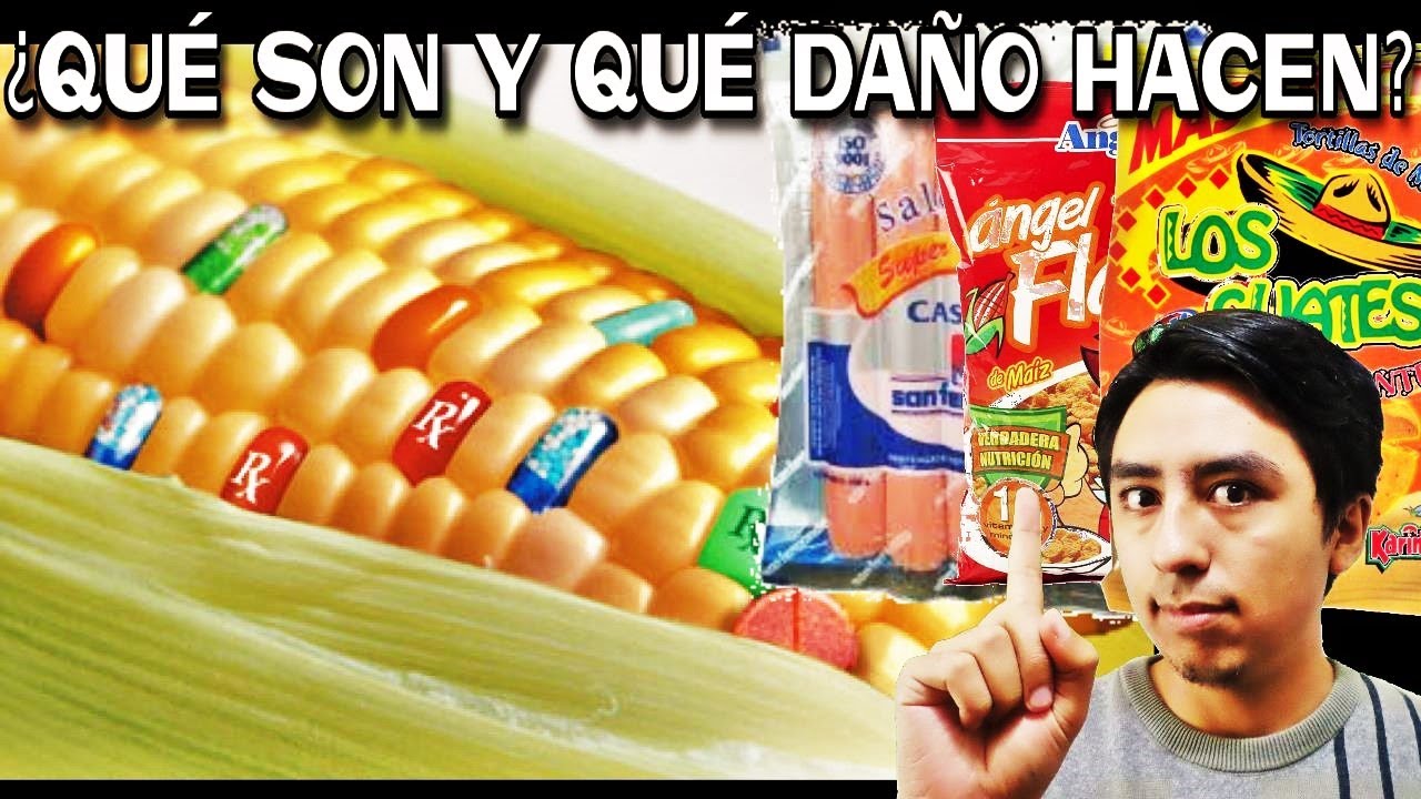 Alimentos transgénicos en Perú: una guía