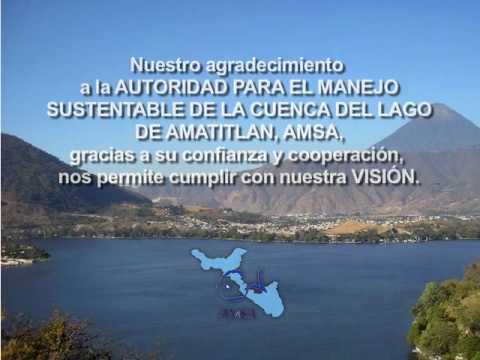 Alternativas ecológicas