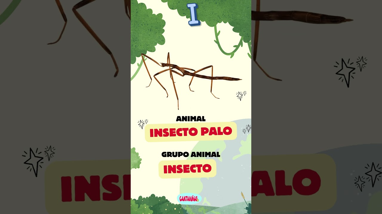 Animal con inicial I: descúbrelo aquí