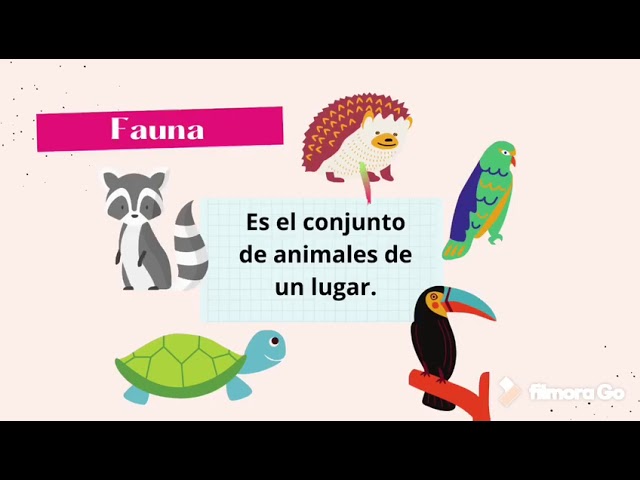Animales por región natural en Veracruz