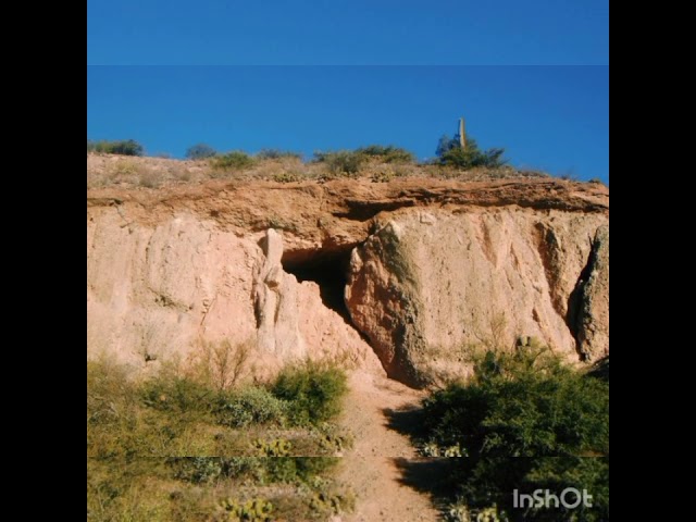 Animales que habitan en cuevas