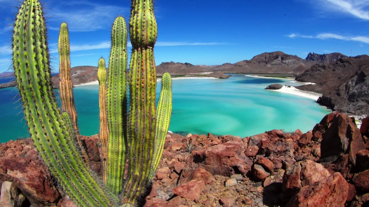 Área de protección de flora y fauna en Cabo San Lucas