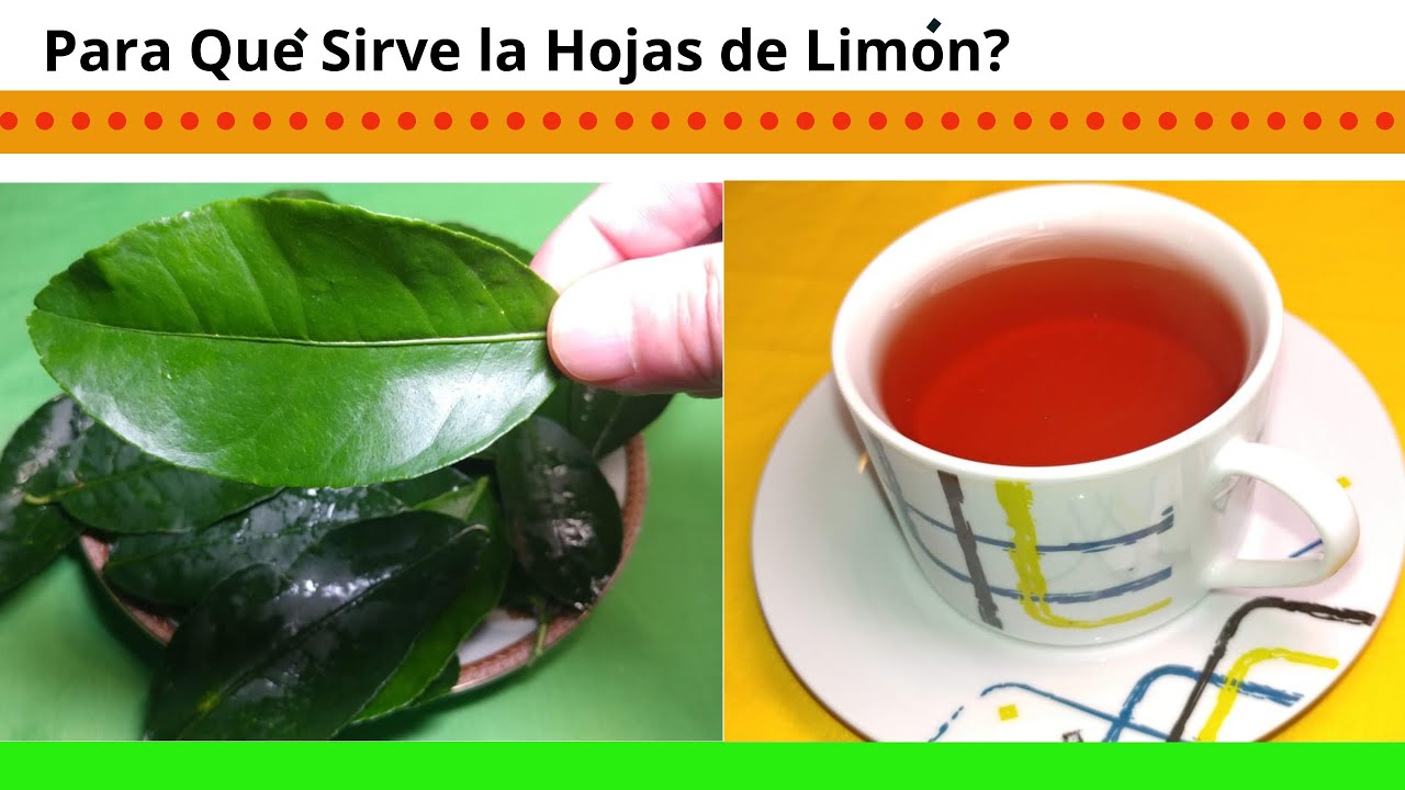 Beneficios del té de hojas de limón agrio