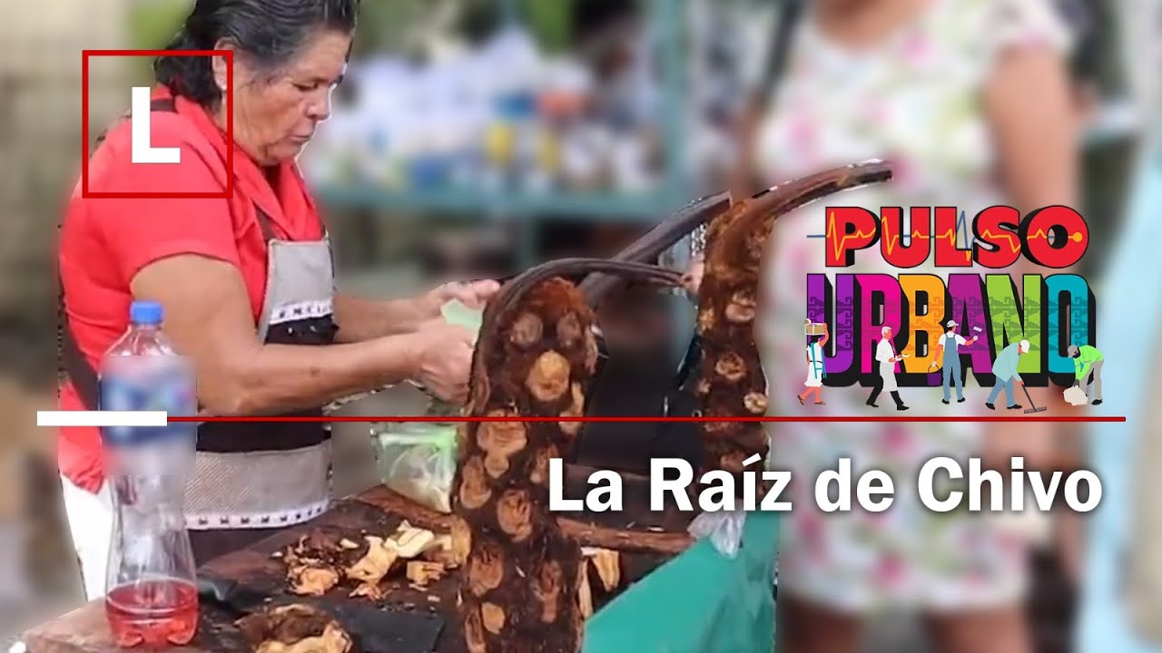 Beneficios y usos de la planta cuerno de chivo