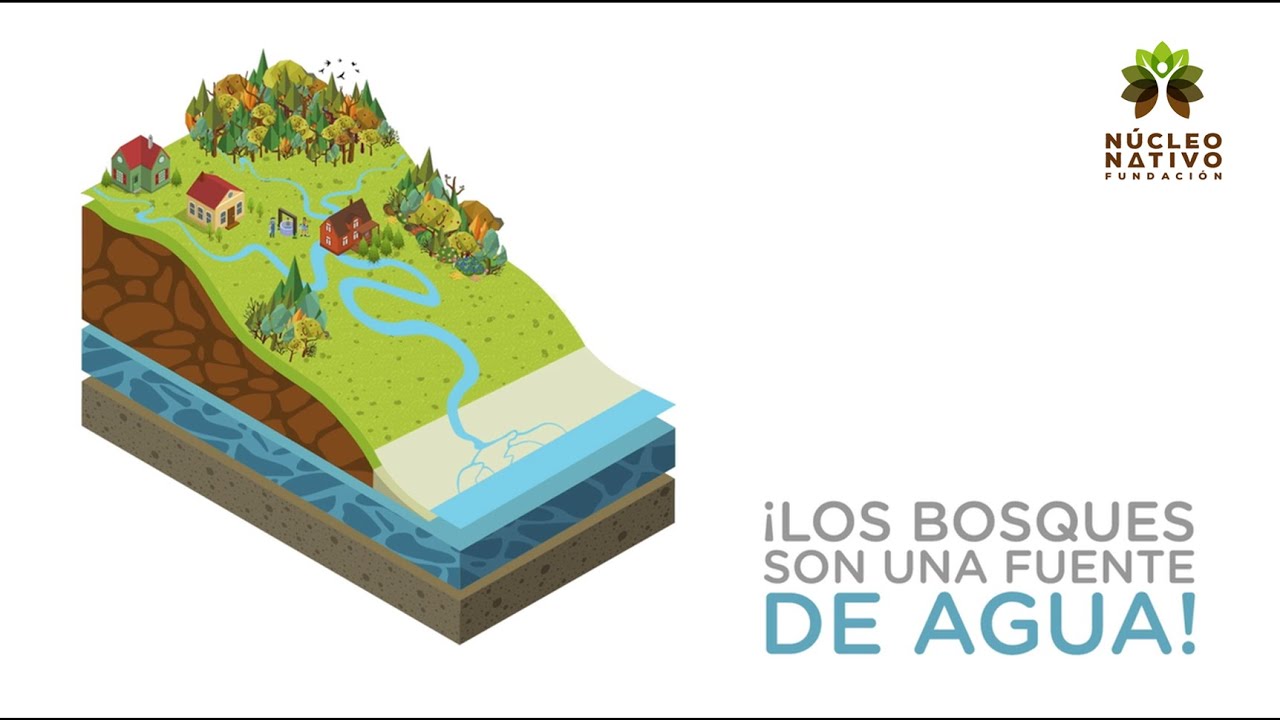 Biodiversidad y purificación del agua