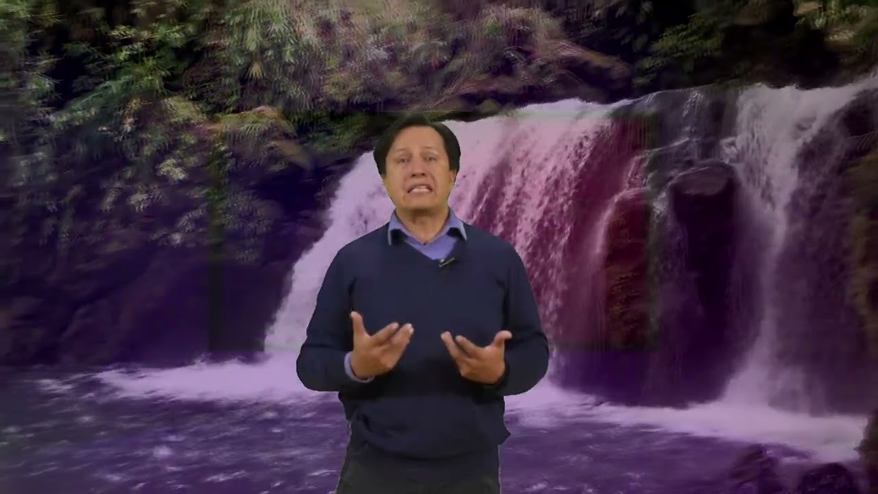 Bosque mesófilo de montaña: diversidad natural