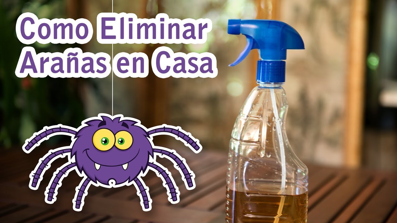 Cómo combatir las arañas en casa de forma efectiva