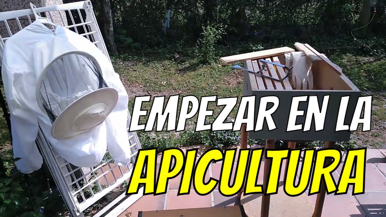 Cómo cuidar a las abejas en tu jardín