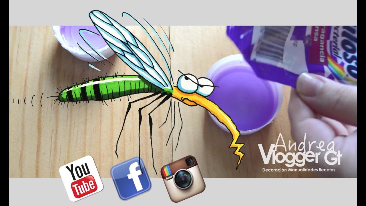 Cómo evitar que los mosquitos entren en casa