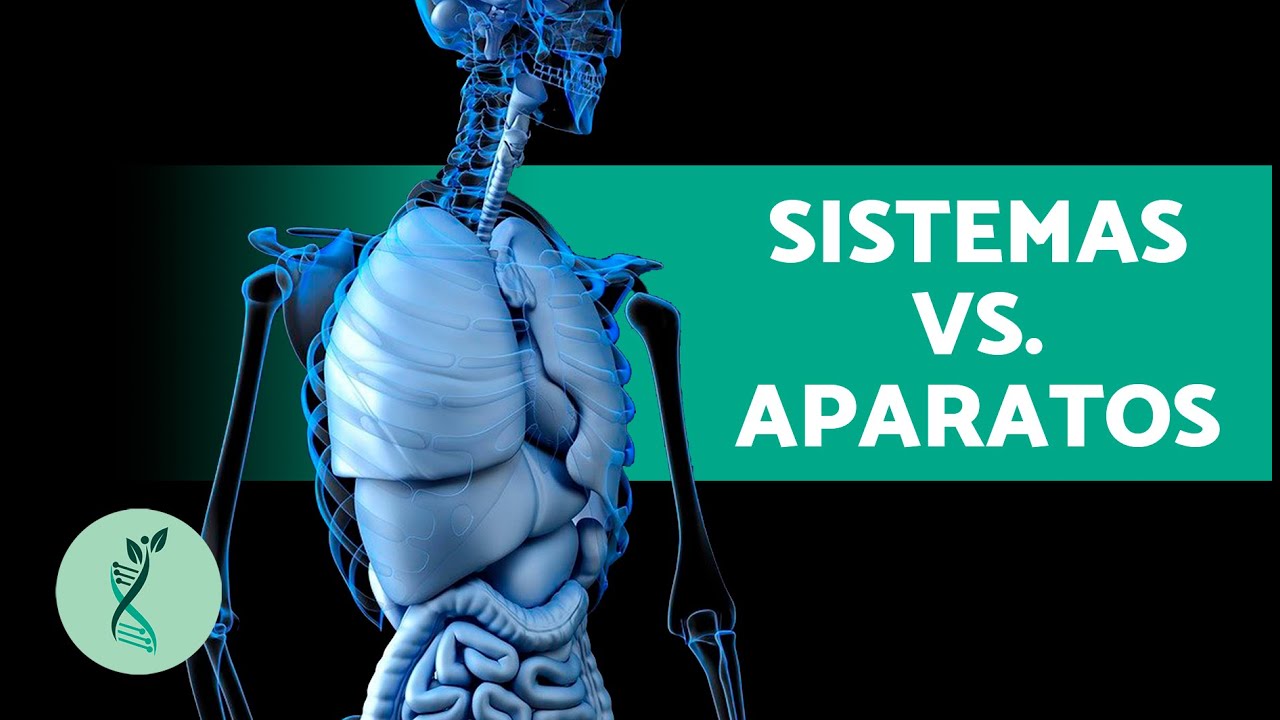 Comparativa de aparatos y sistemas