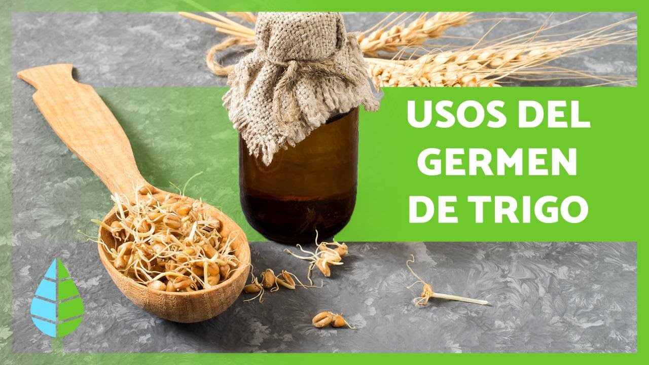 Complejo B con germen de trigo: beneficios y usos