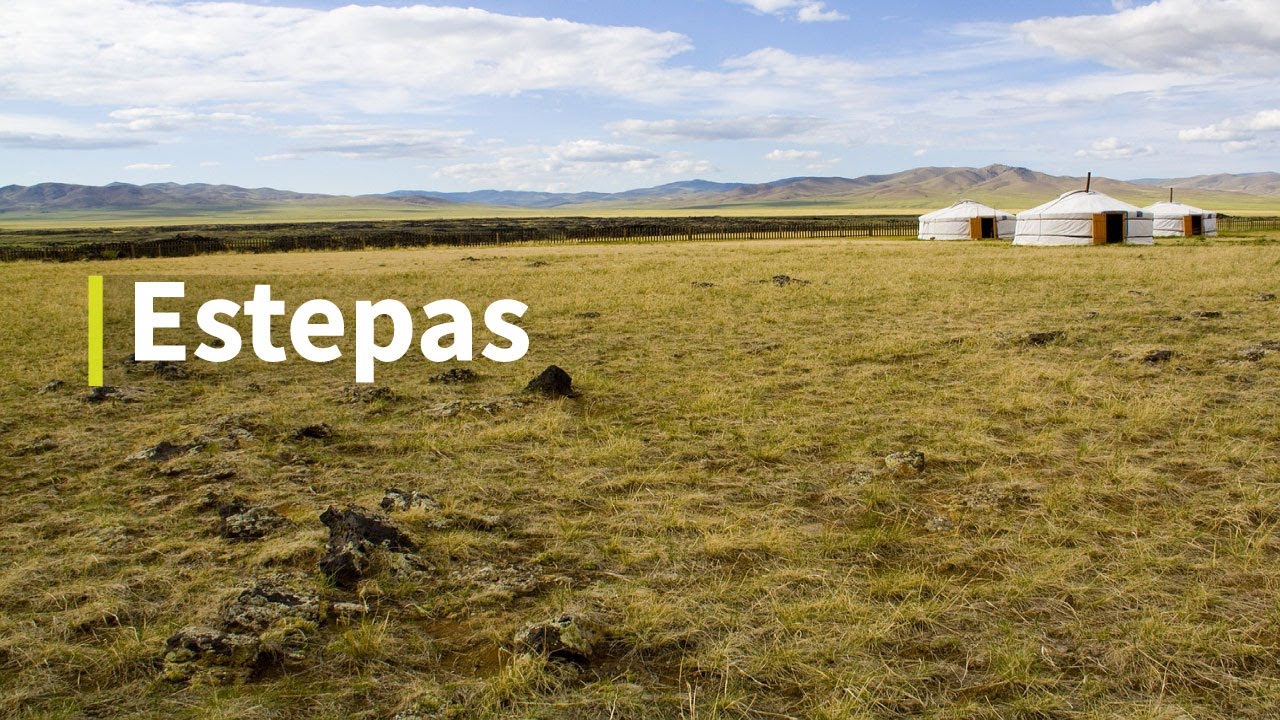 Conoce el clima la flora y la fauna de la estepa