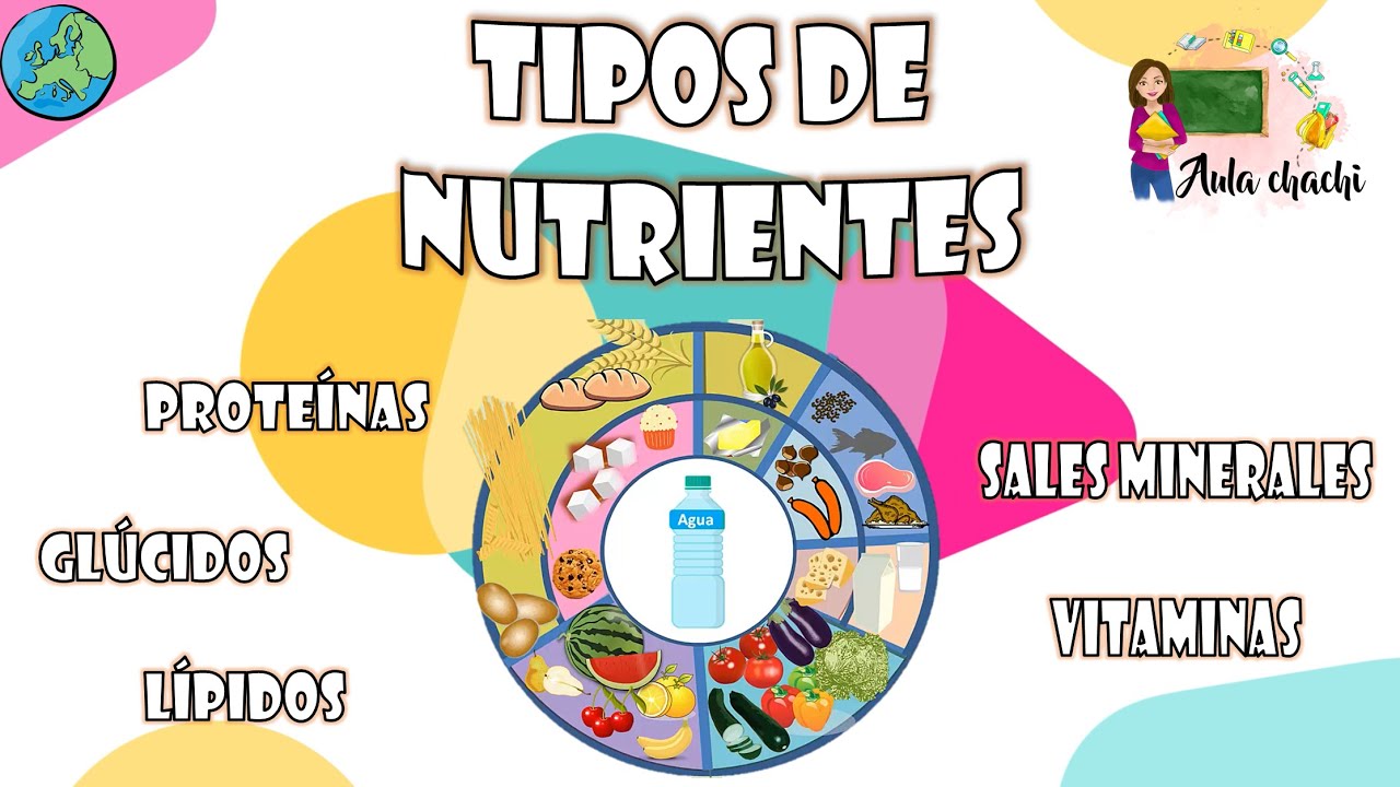 Conoce la clasificación de nutrientes: orgánicos e inorgánicos
