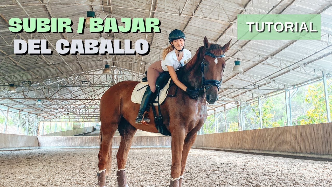 Conoce la forma adecuada de bajar de un caballo