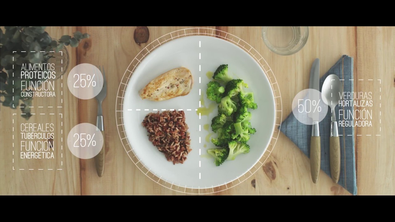 Conoce y equilibra tu dieta con el plato del buen comer