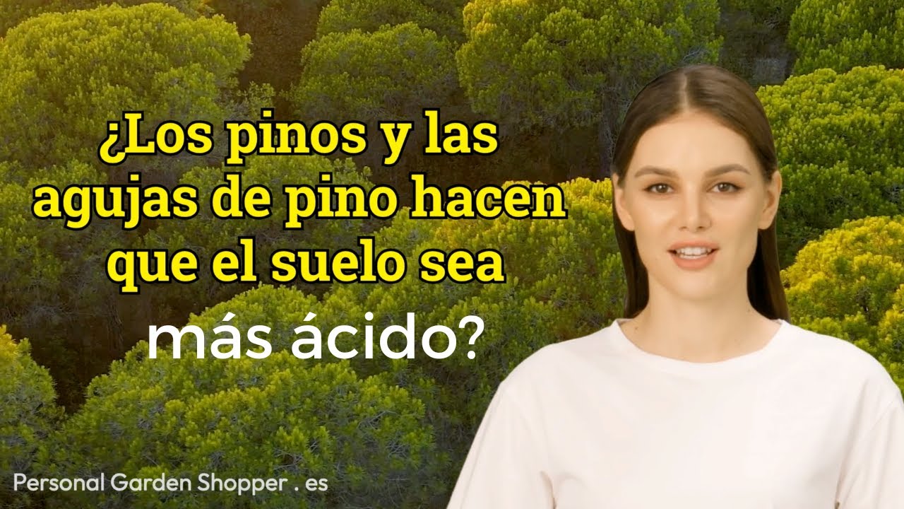 Descubre cómo la corteza de pino puede acidificar el suelo