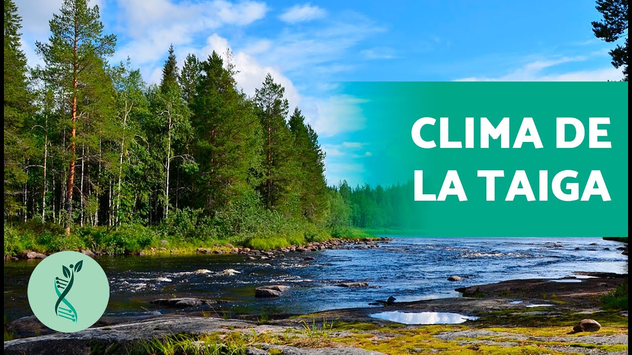 Descubre la fauna de la taiga