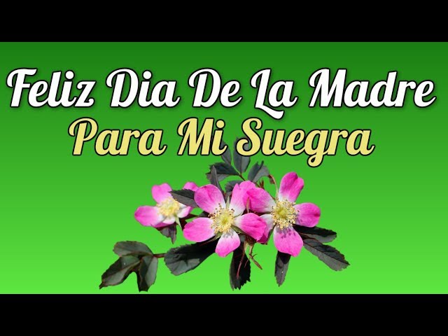 Día de la Madre para suegras