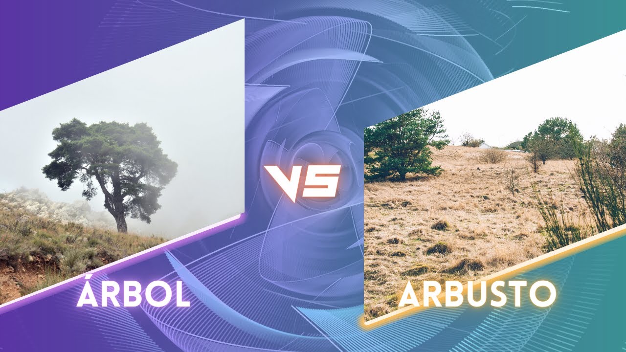 Diferencias entre árboles y arbustos