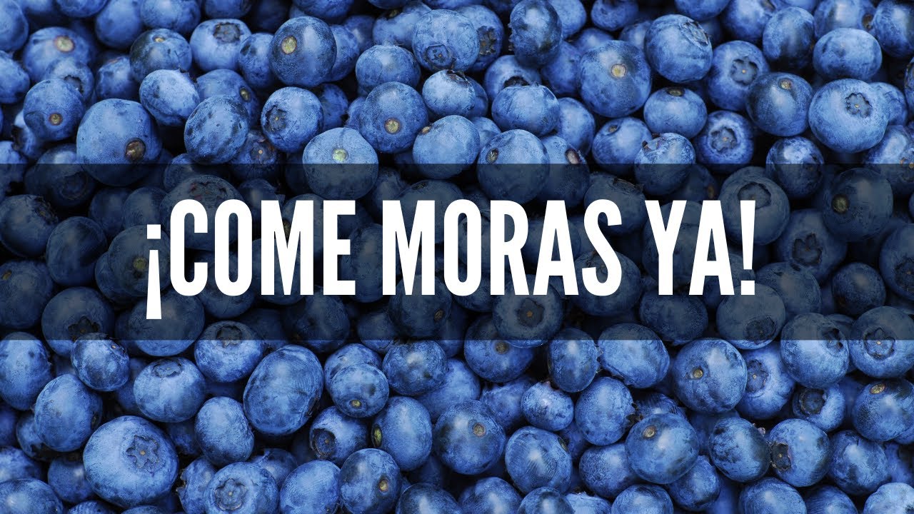 Diferencias entre moras azules y arándanos