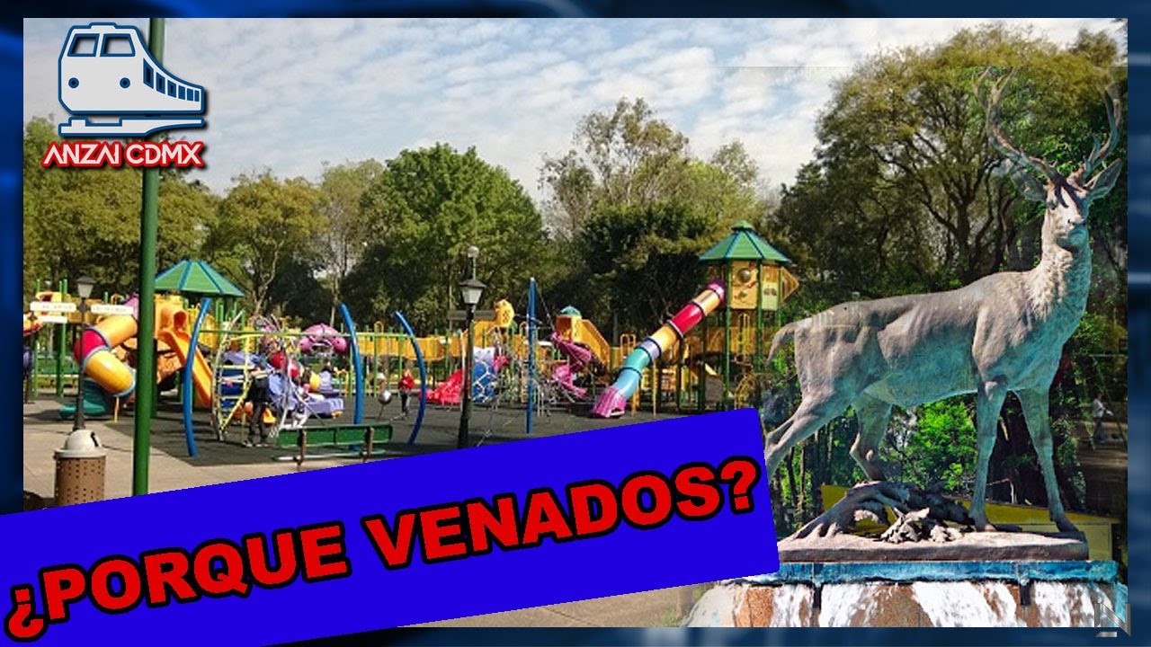 Dimensiones del Parque de los Venados