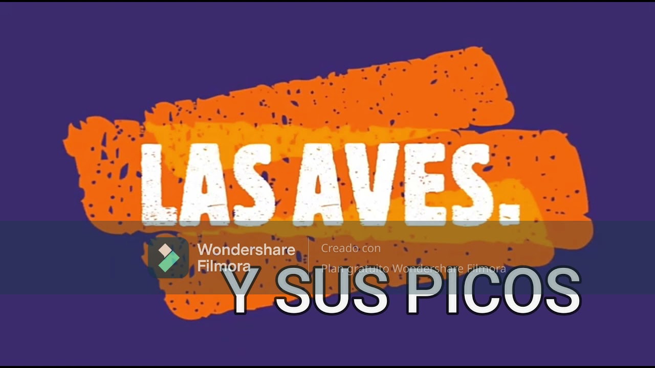Diversidad de picos de aves según su alimentación