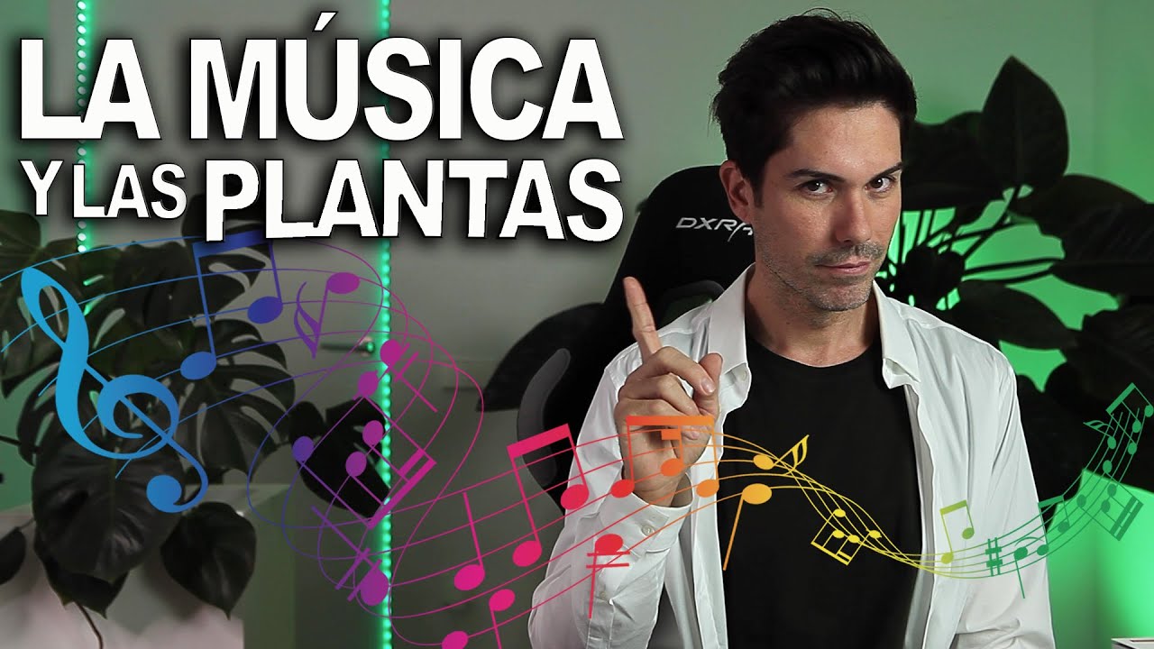 El impacto del sonido en el crecimiento de las plantas