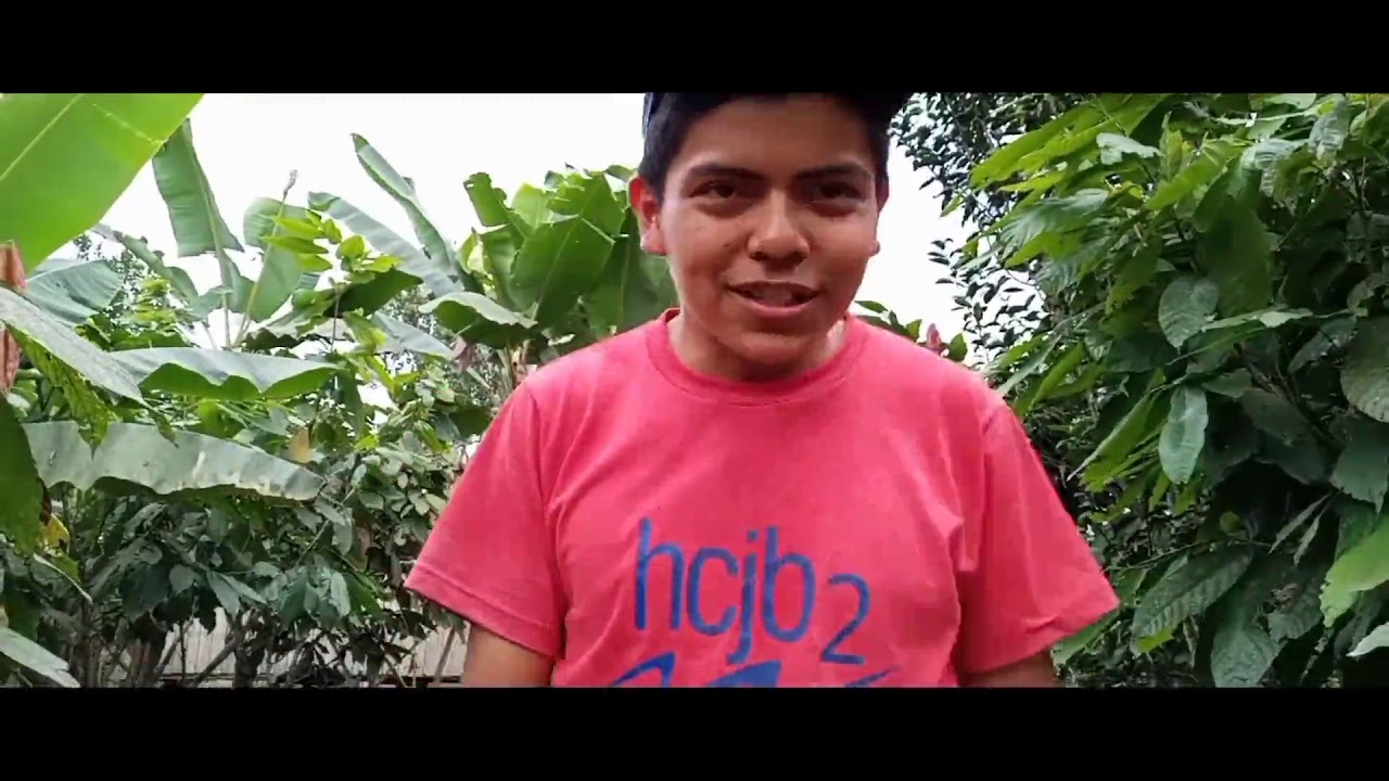El nombre del plátano en Ecuador