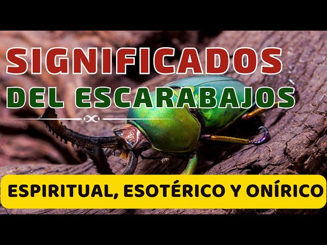 El peculiar sistema respiratorio del escarabajo verde