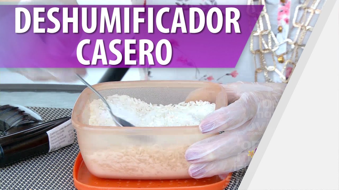 Elimina la humedad en casa con este dispositivo