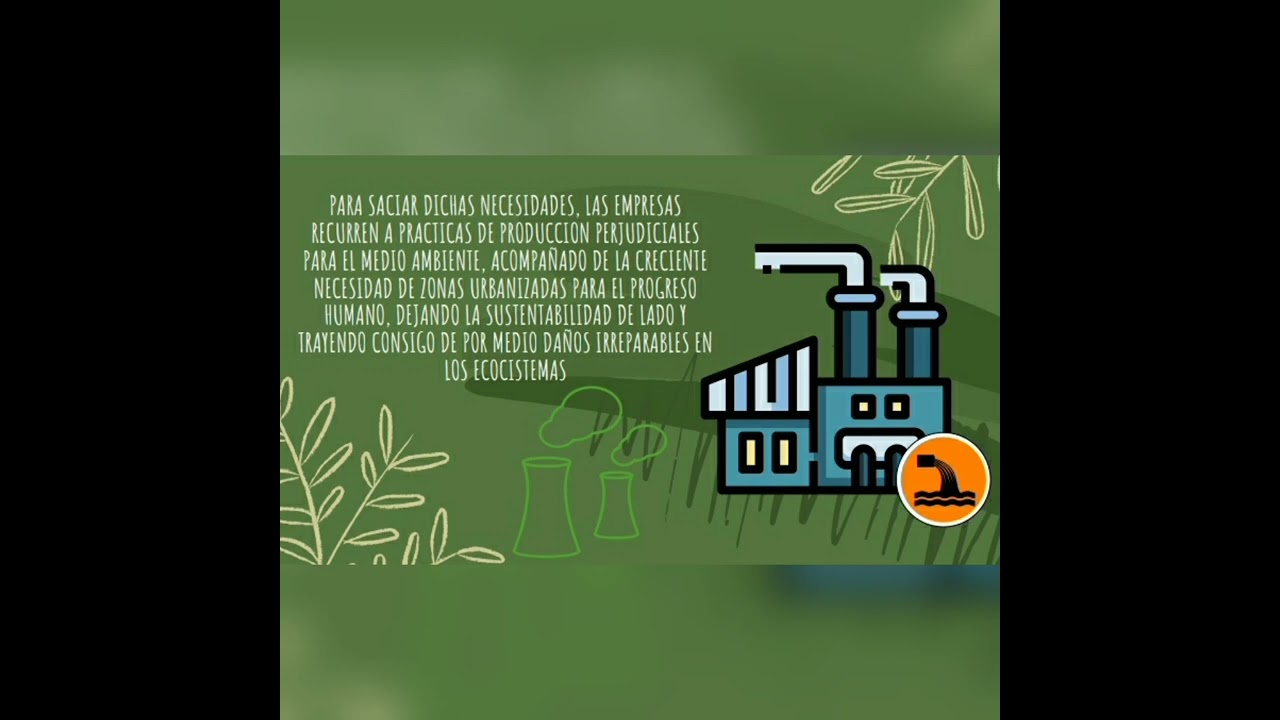 Ensayo sobre cuidado del medio ambiente