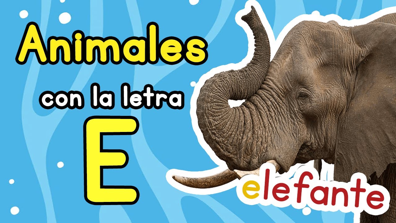 Entretenimiento: animales y cosas con la letra E
