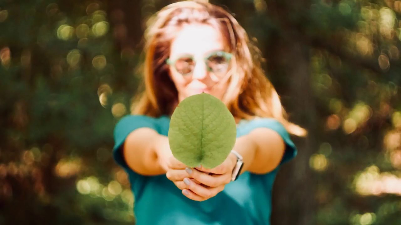 Estrategias ambientales en empresas