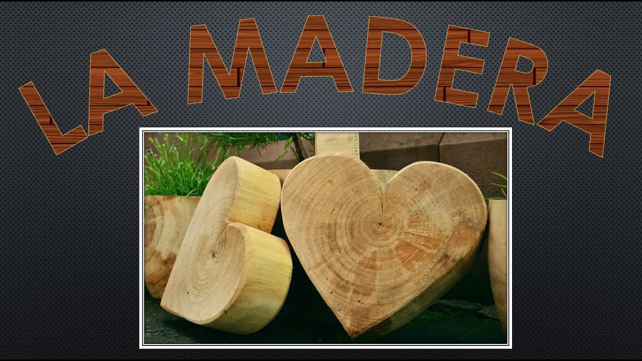 Estructura tipos y propiedades de la madera