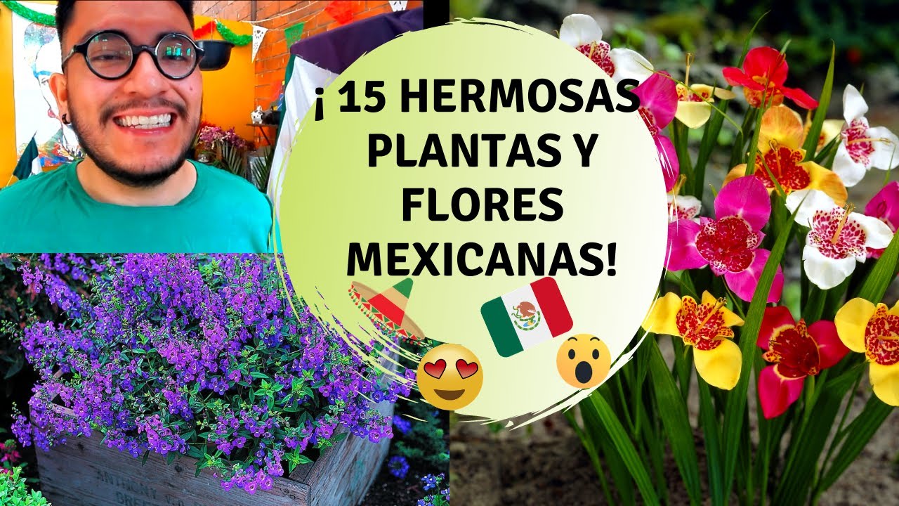 Flores autóctonas de México