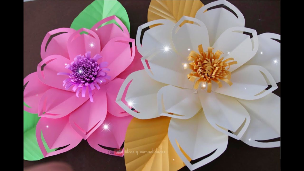 Flores ideales para embellecer un salón de clases