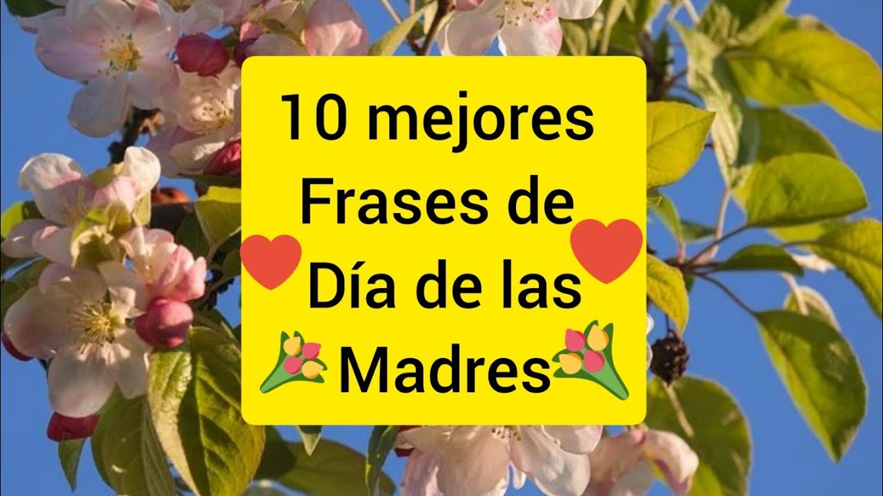 Frases conmovedoras para el Día de la Madre