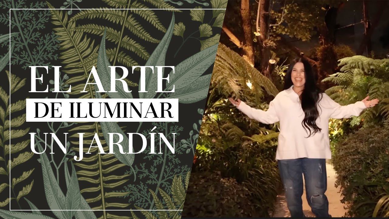 Ilumina tus árboles de jardín de forma original