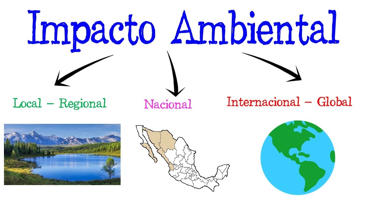 Impacto ambiental en la sociedad: un análisis profundo