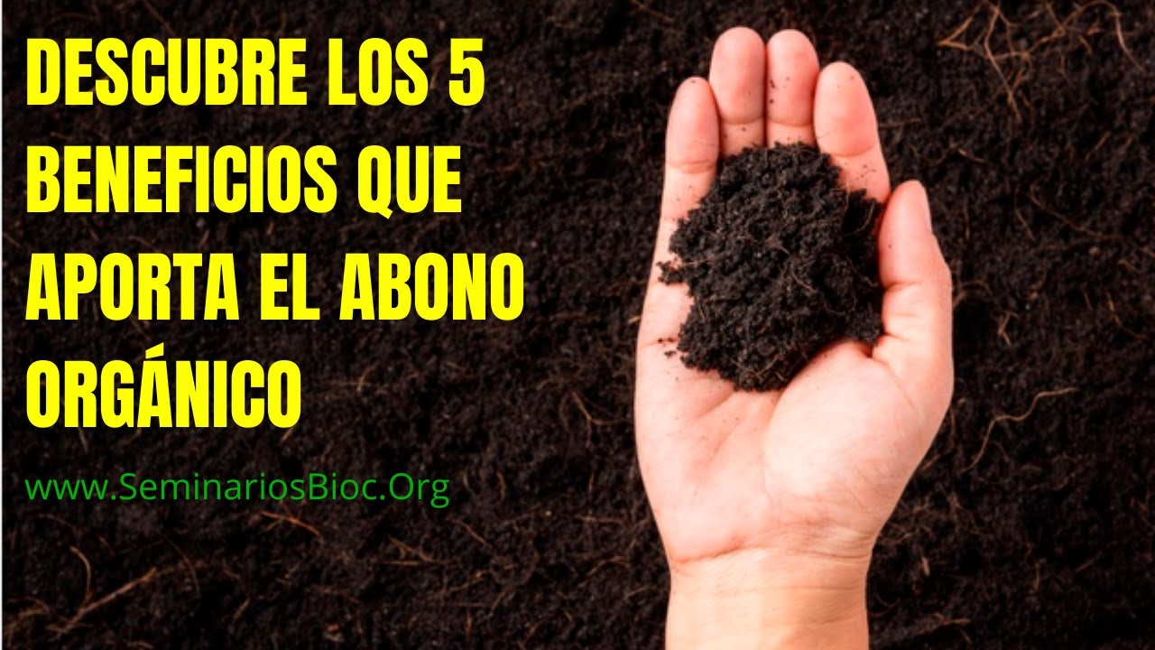 Importancia del abono para las plantas