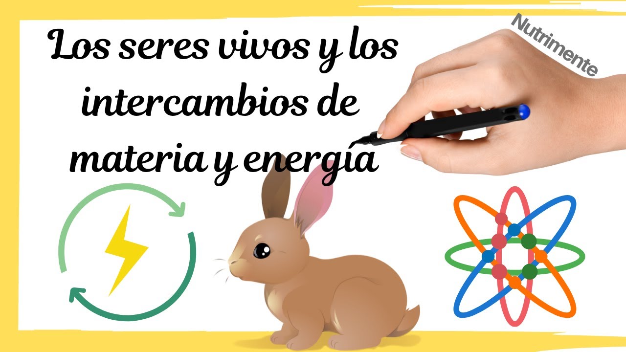 Intercambio de materia y energía