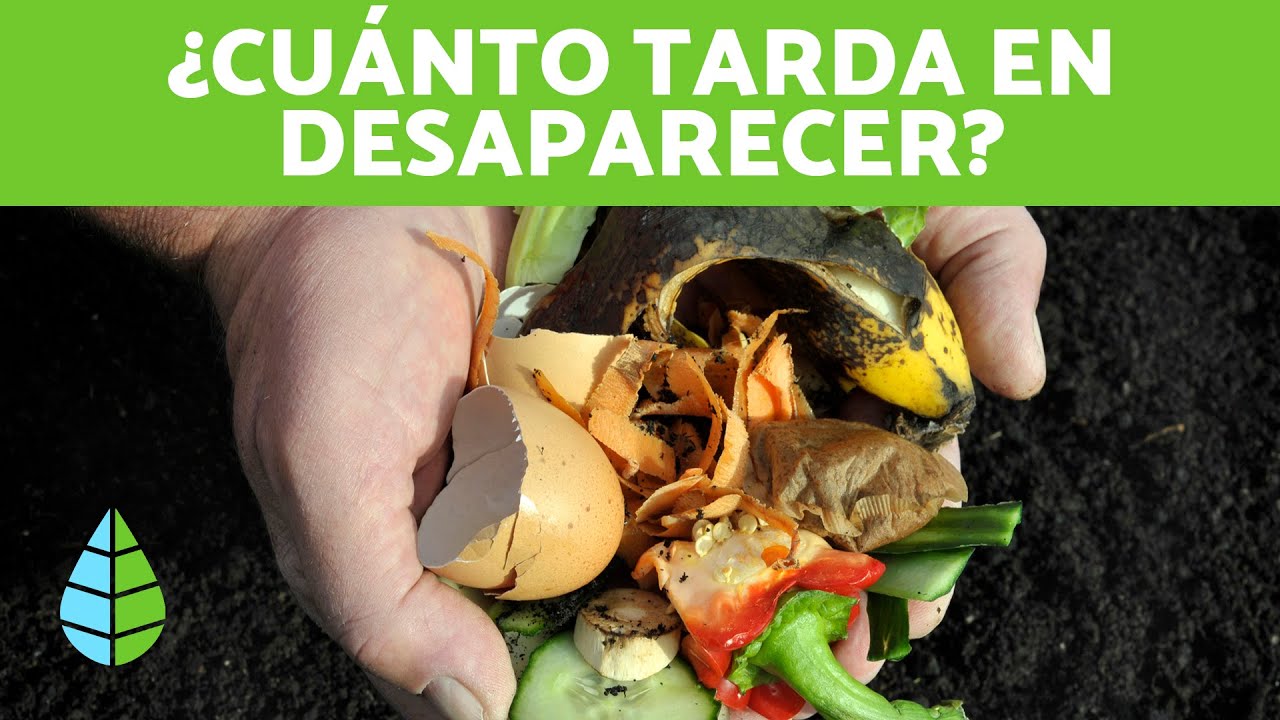 La degradación del papel higiénico en el medio ambiente