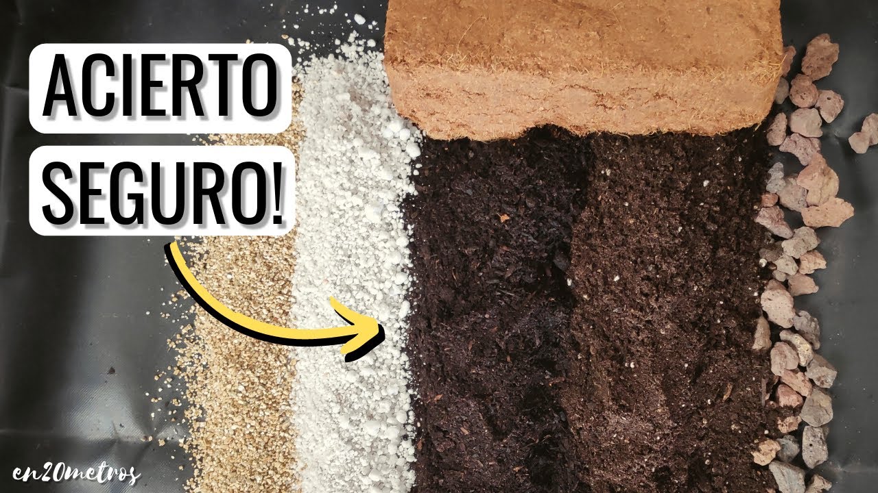 La mejor tierra para tus plantas