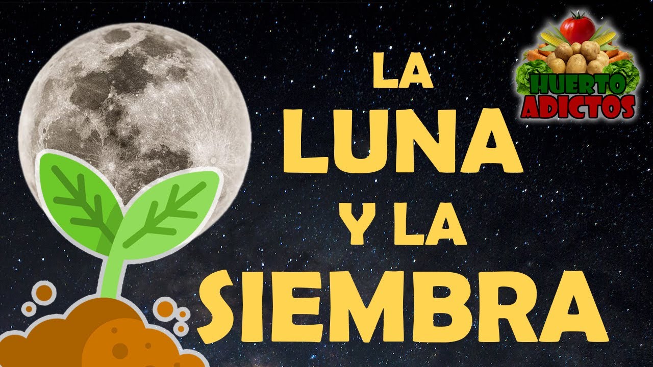 Mejor época de siembra según la luna