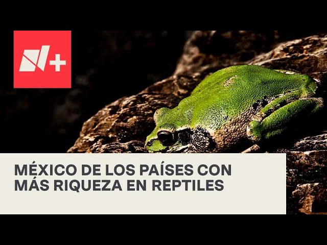 México y su posición en la diversidad de anfibios