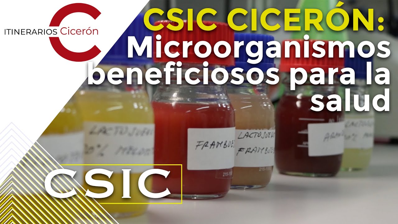 Microorganismos beneficiosos para tu salud